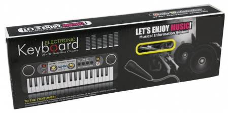 Orga Electrică cu Microfon [2]