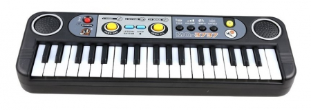 Orga Electrică cu Microfon [1]