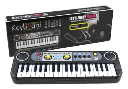 Instrumente muzicale - Orga Electrică cu Microfon