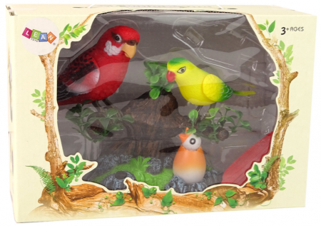 Peruși colorati care cântă și se mișcă pe ramură [3]