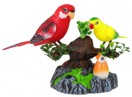 Peruși colorati care cântă și se mișcă pe ramură [1]