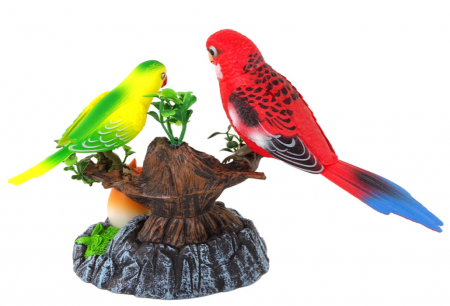 Peruși colorati care cântă și se mișcă pe ramură [2]