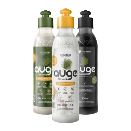 MATERIALE COMPLEMENTARE - CEARǍ AUGE