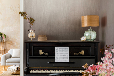 Veli&Velluti - vopsea decorativă cu aspect de mătase [3]