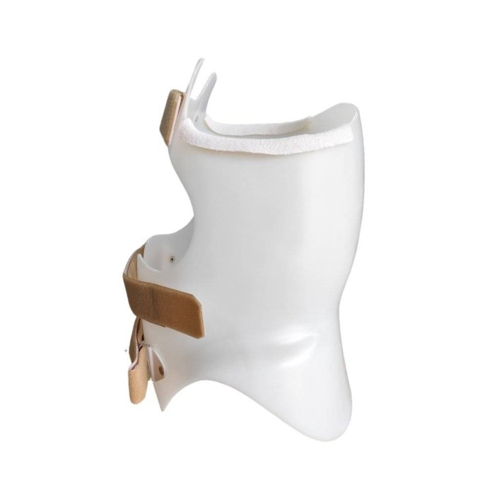 Corset Cheneau [7]