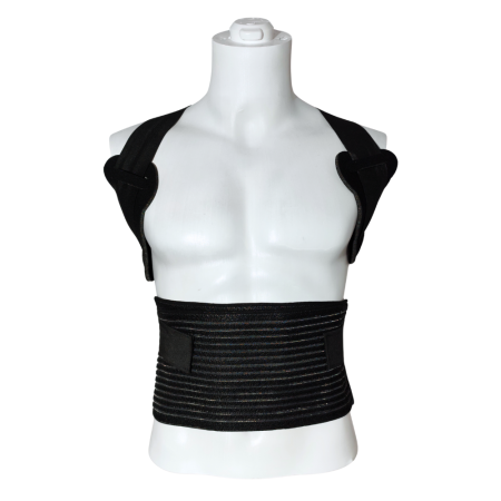 Ham de memorie Universal [1]