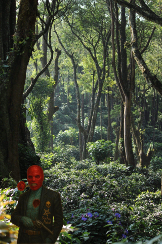 Plansu Cafelelor Chickmagalur Karnataka macinata 250gr [1]