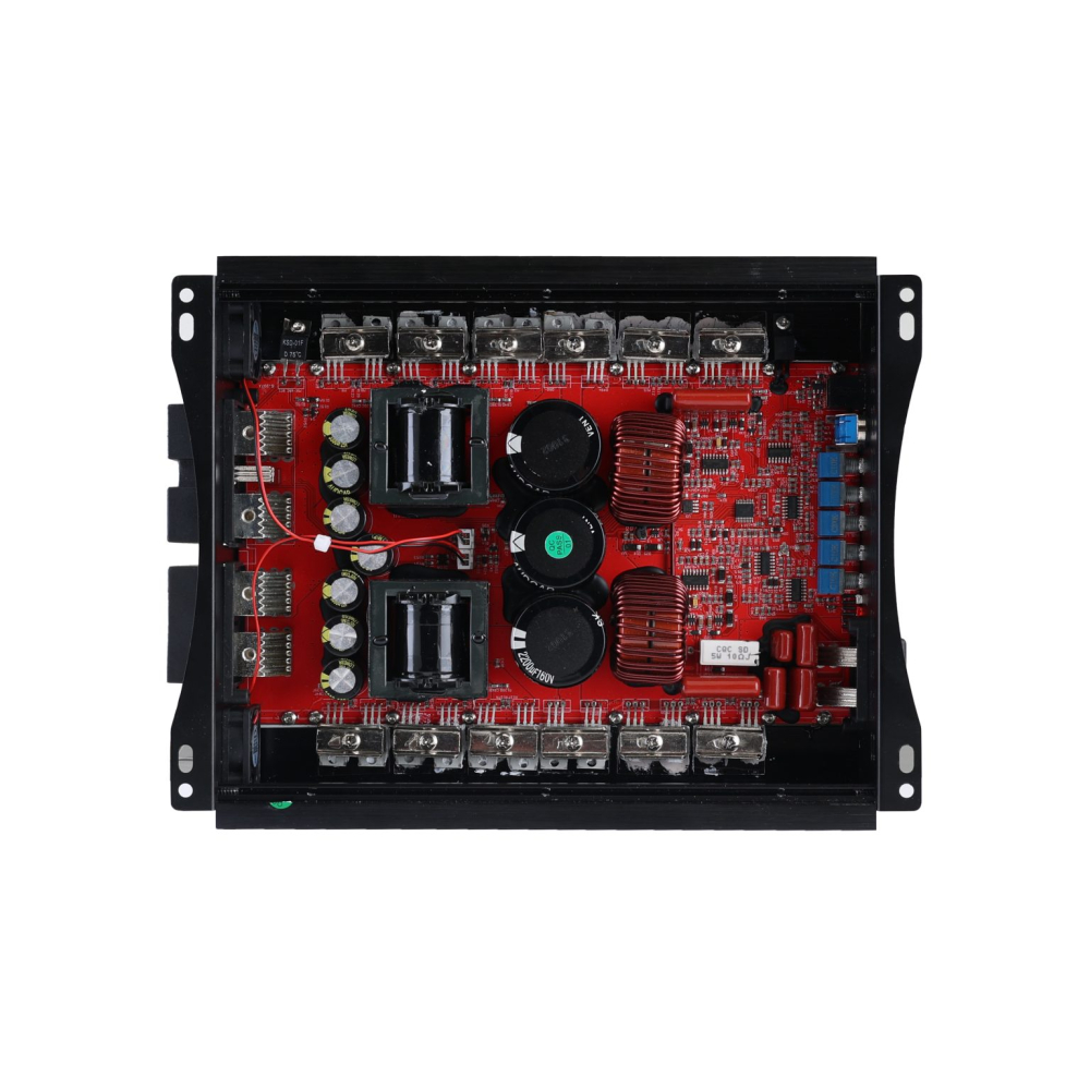 Amplificator Reiss Audio RS-F5000.1D [5]