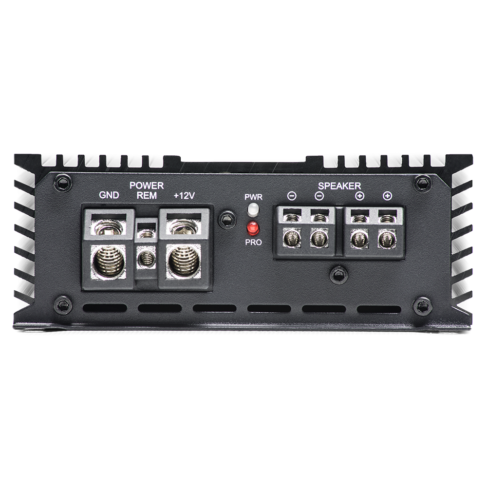 Amplificator DD Audio DM1000a [3]