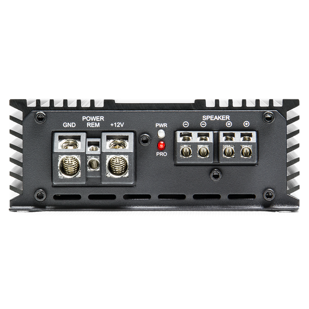 Amplificator DD Audio DM500a [2]