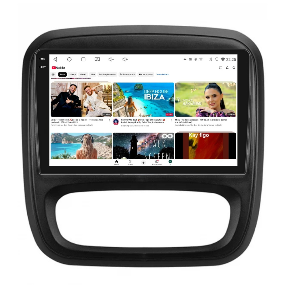 Navigatie PilotOn Opel Vivaro 2014-2019 9 inch 4GB 64GB 8 CORE [4]