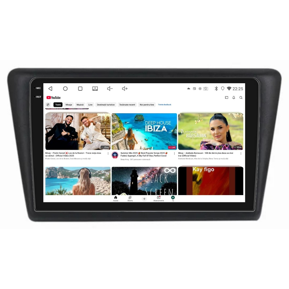 Navigatie PilotOn Skoda Rapid 2011-2019 9 inch 2GB 32GB 4 CORE [4]