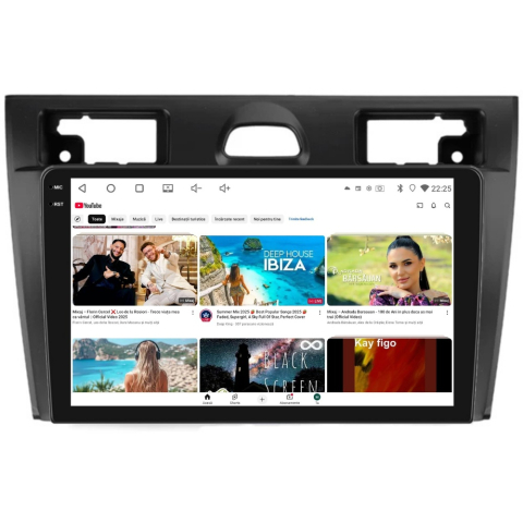 Navigație FORD Fiesta 2002 9 inch 4GB 64GB Android [2]