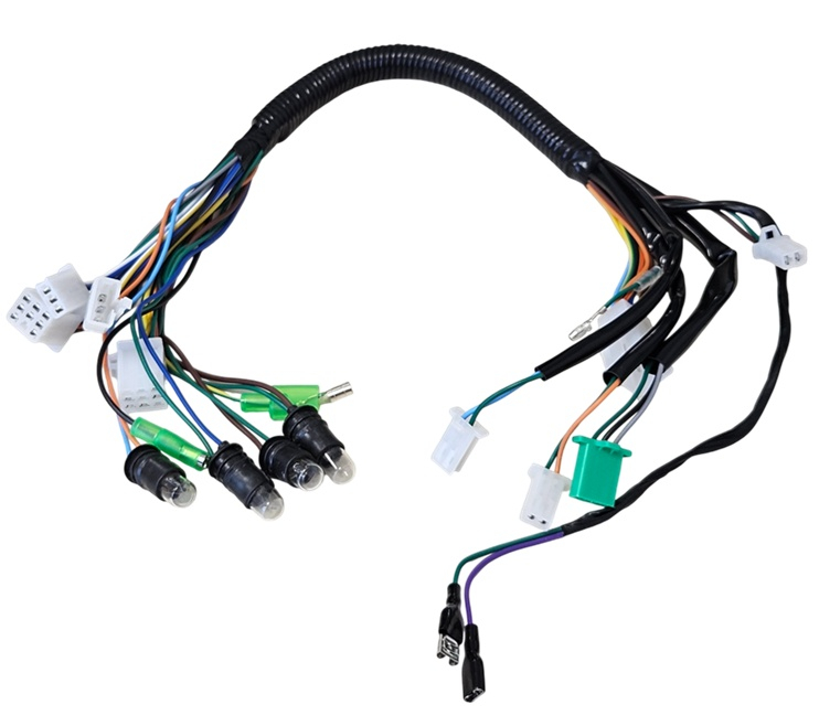 Instalație electrică scuter – roată 10 inch [3]