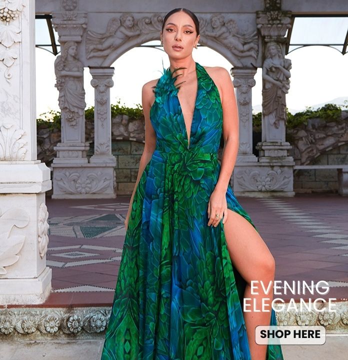 EVENING /  ALL DRESSES