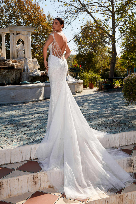 mermaid wedding dress with open back [2]
