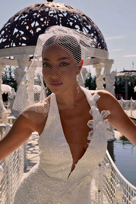 Elegant Birdcage Wedding Veil [4]