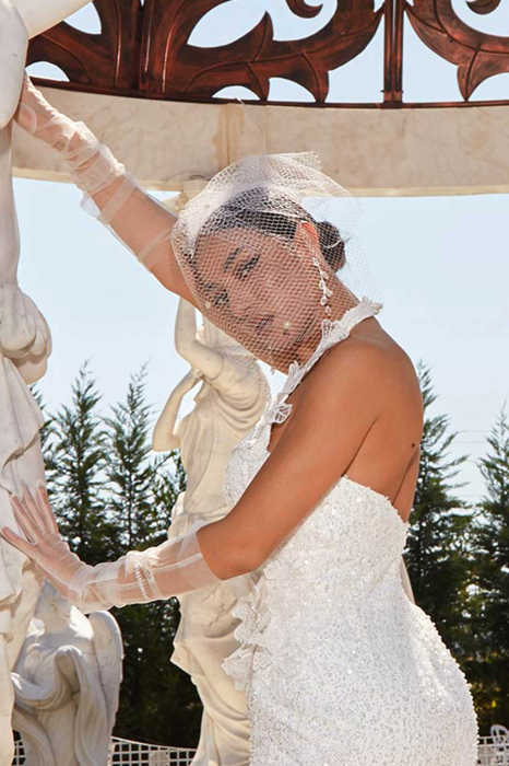 Elegant Birdcage Wedding Veil [3]