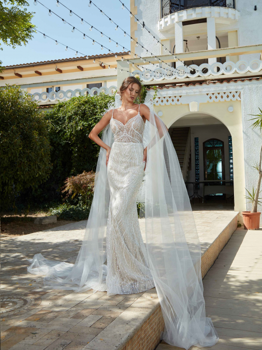 Detachable tulle wings [4]
