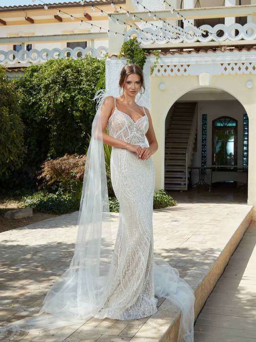 Detachable tulle wings [2]