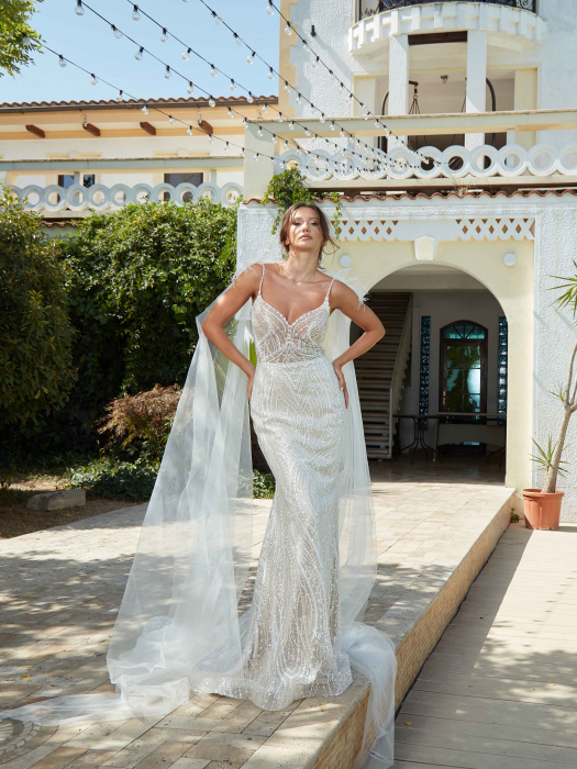 Detachable tulle wings [3]