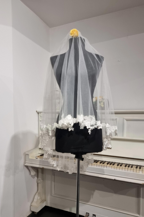 Double tier lace bridal veil [6]