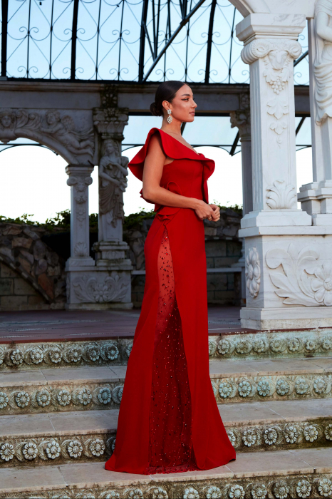 Long crystals evening dress- 2504 [4]