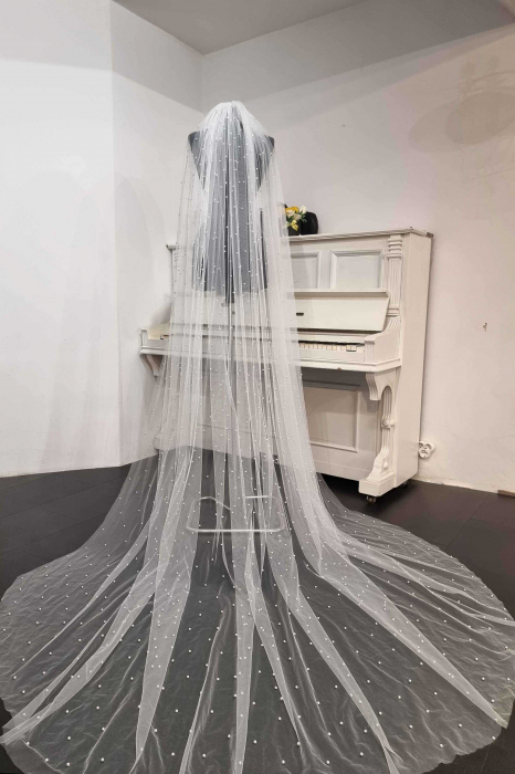 Stunning pearls wedding veil [6]