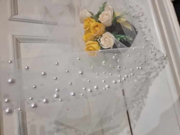 Pearls bridal veil [5]