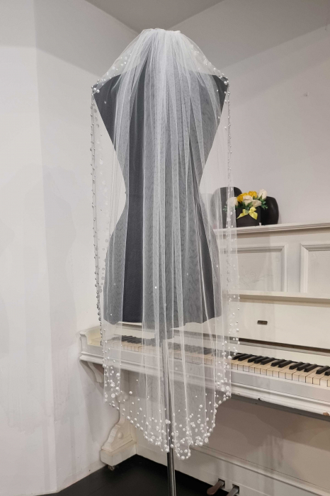 Pearls bridal veil [3]