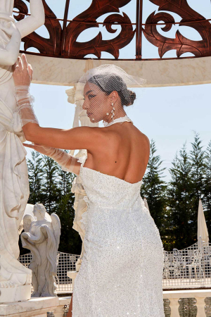 Elegant Birdcage Wedding Veil [4]