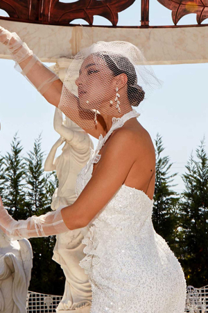 Elegant Birdcage Wedding Veil [1]