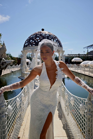 Bridal Accesories - Elegant Birdcage Wedding Veil