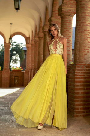 Evening dress 2511 [1]