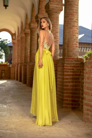 Evening dress 2511 [2]