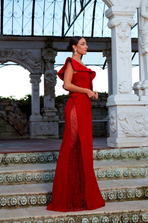 Long crystals evening dress- 2504 [3]