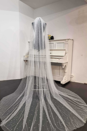 Stunning pearls wedding veil [5]