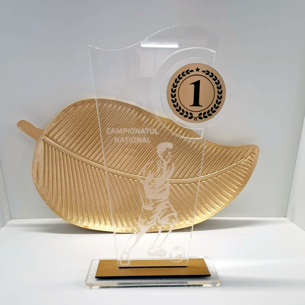 Trofeu fotbal din plexiglas transparent și ABS auriu gravat – premiu personalizat pentru competiții sportive [2]