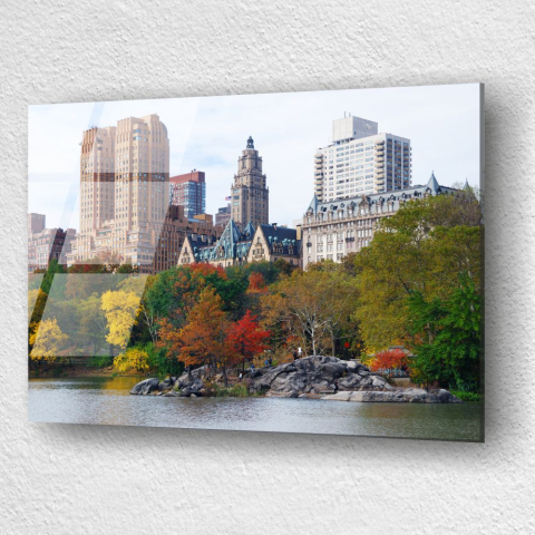 tablou din sticla acrilica Central Park Manhattan cu copaci colorati si skyline in funda [2]