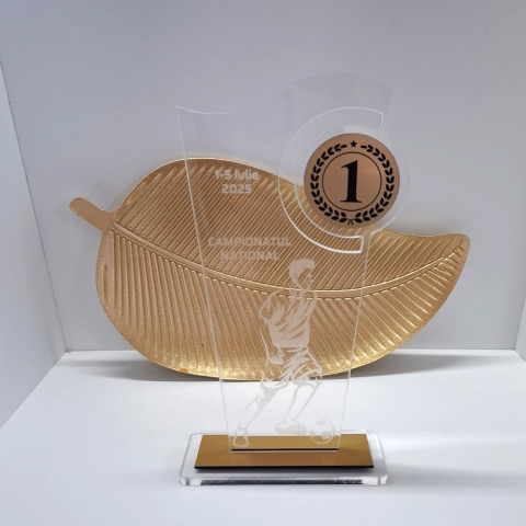 Cadouri personalizate - Trofeu fotbal din plexiglas transparent și ABS auriu gravat – premiu personalizat pentru competiții sportive