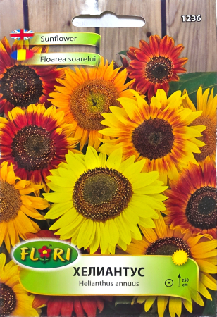 Flori - 1236 Floarea Soarelui Mix / Helianthus Annus Mix
