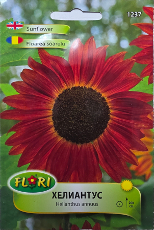 Flori - 1237 Floarea Soarelui Rosie / Helianthus Annus Mix