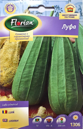 Castraveti - 1306 Lufa / Luffa cylindrica