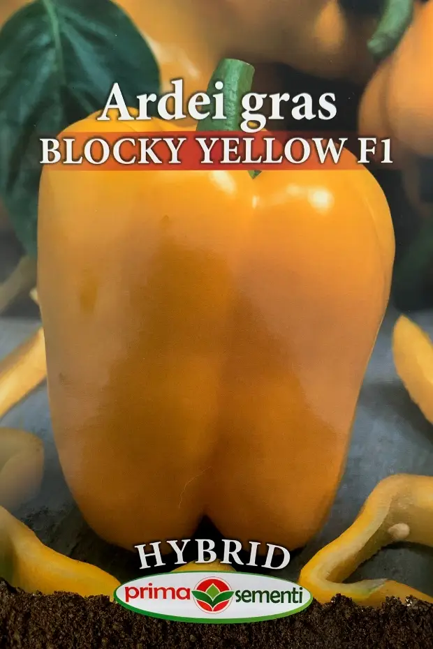 Seminte de Legume - Ardei gras Blocky Yellow F1