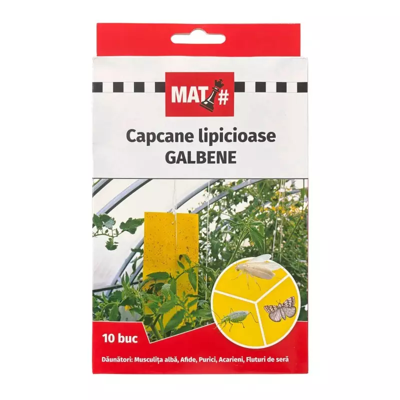 Capcane - Capcane lipicioase galbene MAT - set 10 placi, Musculita alba, Afide, Purici, Acarieni, Fluturi de sera