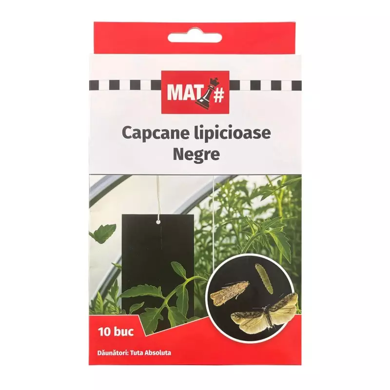 Capcane lipicioase negre MAT - set 10 placi, Tuta absoluta [0]