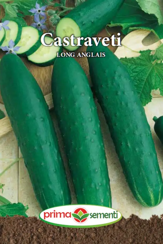 Seminte de Legume - Castaveti Long Anglais