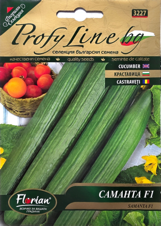 Castraveti - Castraveti Samanta F1 10 sem.