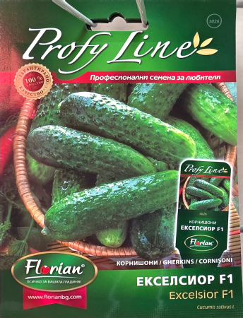 Castraveti - Cornisoni Ekselsior F1 20 sem.