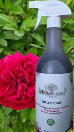 Fertilizant - EcoHumusStrong- Gata de folosire - Plante ornamentale 750ml